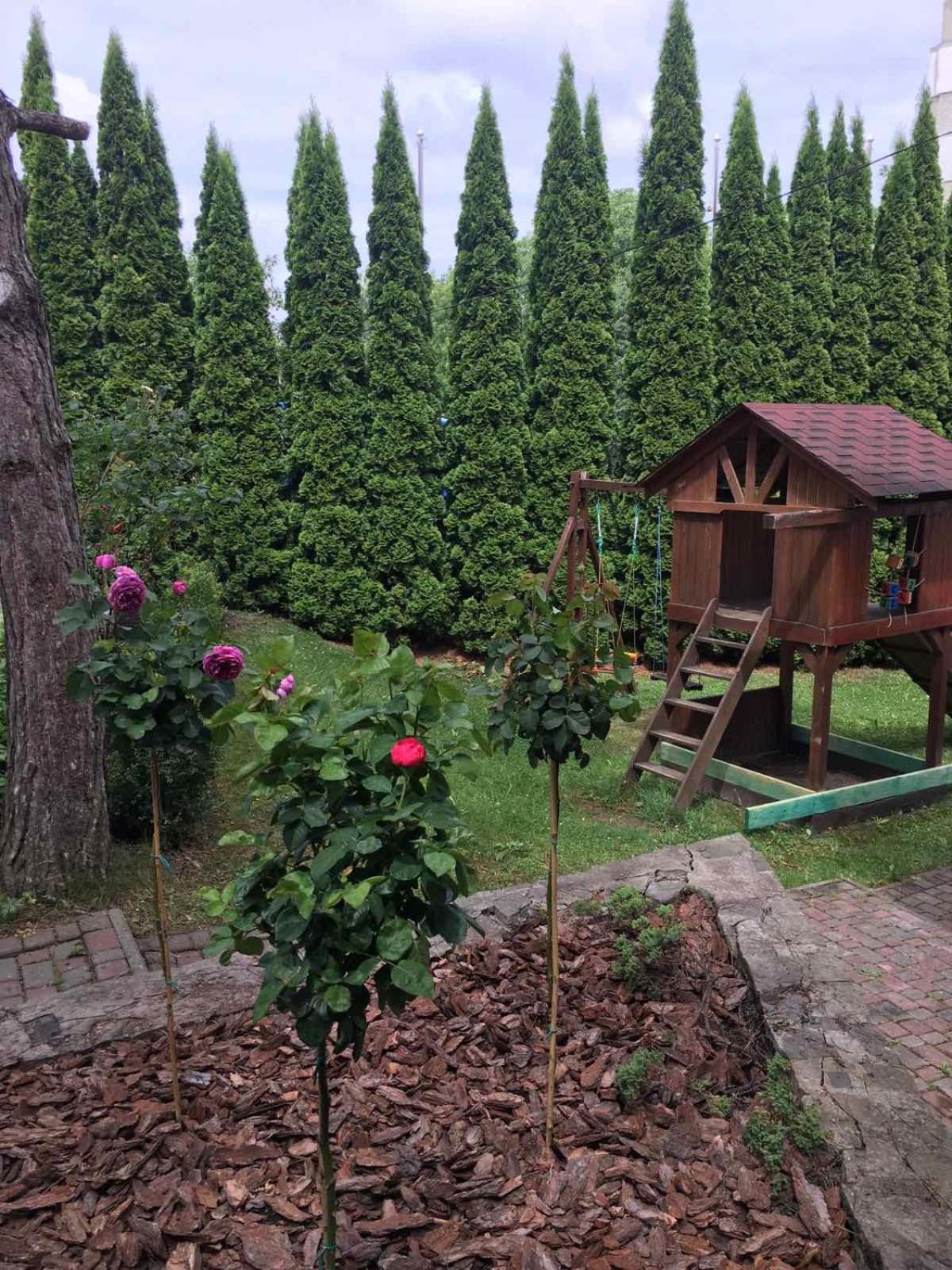 Hotel Red Stone Truskavec' Esterno foto